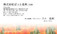 テンプレート名刺【plant-tulip photo-d012-yd】