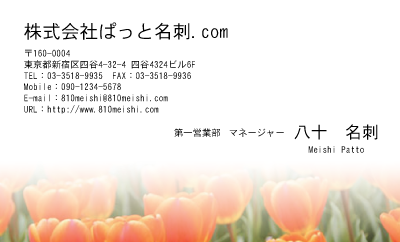 テンプレート名刺【plant-tulip photo-d012-yd】
