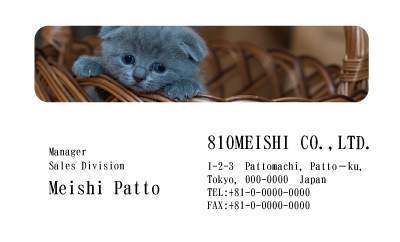 テンプレート名刺【cat photo-d018-zy】