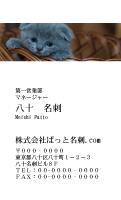 テンプレート名刺【cat photo-d018-zy】