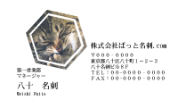テンプレート名刺【cat photo-d019-zy】