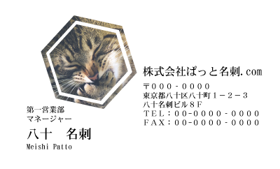 テンプレート名刺【cat photo-d019-zy】