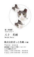 テンプレート名刺【cat photo-d021-zy】