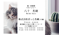 テンプレート名刺【cat photo-d022-zy】