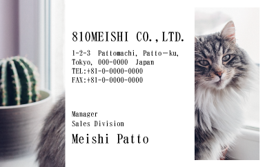 テンプレート名刺【cat photo-d022-zy】