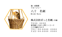 テンプレート名刺【cat photo-d023-zy】