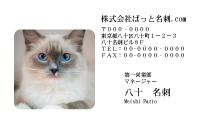 テンプレート名刺【cat photo-d024-zy】
