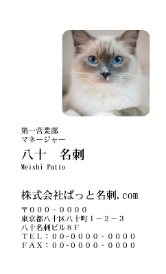 テンプレート名刺【cat photo-d024-zy】