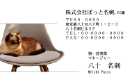 テンプレート名刺【cat photo-d025-zy】