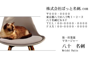 テンプレート名刺【cat photo-d025-zy】