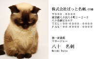 テンプレート名刺【cat photo-d026-zy】