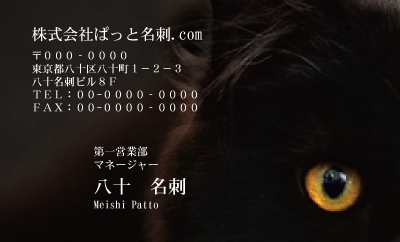 テンプレート名刺【cat photo-d028-zy】