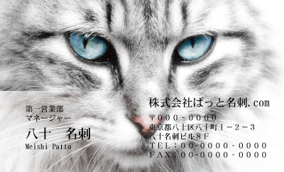テンプレート名刺【cat photo-d029-zy】
