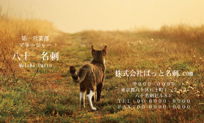 テンプレート名刺【cat photo-d036-zy】