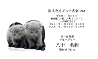 テンプレート名刺【cat photo-d038-zy】