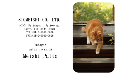 テンプレート名刺【cat photo-d039-zy】