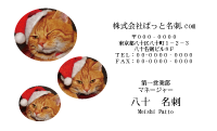 テンプレート名刺【cat photo-d040-zy】