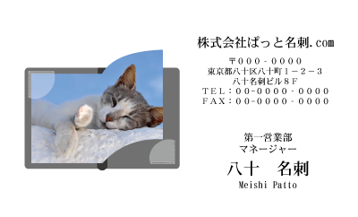 テンプレート名刺【cat photo-d044-zy】