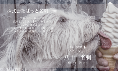 テンプレート名刺【dog photo-d008-zdk-zy】