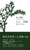 テンプレート名刺【plant-d177-zy-13】