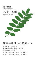 テンプレート名刺【plant-d179-zy-13】