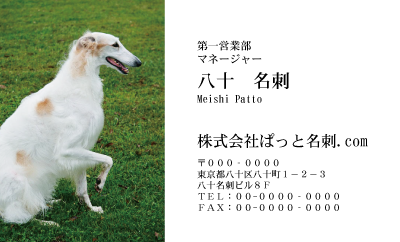テンプレート名刺【dog photo-d012-zdk-zy】