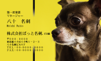 テンプレート名刺【dog photo-d014-zdk-zy】