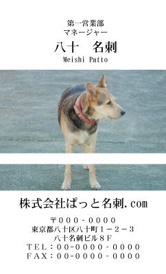 テンプレート名刺【dog photo-d018-zdk-zy】