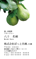 テンプレート名刺【Vegetable&Fruit-d002-zdk-zy】