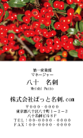 テンプレート名刺【Vegetable&Fruit-d009-zdk-zy】