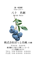 テンプレート名刺【Vegetable&Fruit-d010-zdk-zy】
