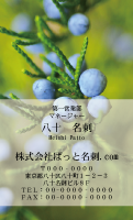 テンプレート名刺【Vegetable&Fruit-d013-zdk-zy】