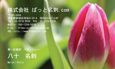 テンプレート名刺【plant-tulip photo-d013-yd】
