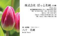 テンプレート名刺【plant-tulip photo-d001-yd】