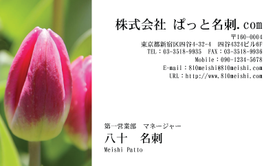 テンプレート名刺【plant-tulip photo-d001-yd】