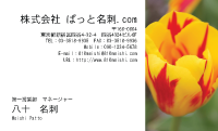 テンプレート名刺【plant-tulip photo-d002-yd】