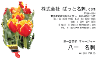 テンプレート名刺【plant-tulip photo-d014-yd】