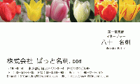 テンプレート名刺【plant-tulip photo-d015-yd】