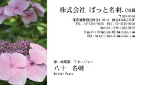 テンプレート名刺【plant-Hydrangea photo-d001-yd】