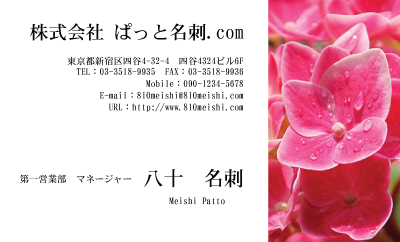 テンプレート名刺【plant-Hydrangea photo-d002-yd】
