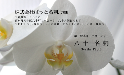 テンプレート名刺【plant-phalaenopsi photo-d001-ly-zy】