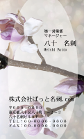 テンプレート名刺【plant-magnolia photo-d001-ly-zy】
