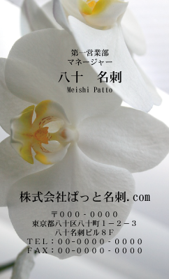 テンプレート名刺【plant-phalaenopsi photo-d001-ly-zy】