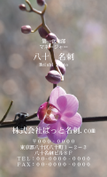 テンプレート名刺【plant-phalaenopsi photo-d003-ly-zy】