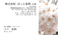 テンプレート名刺【plant- sakura photo-d002-yd】