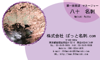 テンプレート名刺【plant- sakura photo-d013-yd】