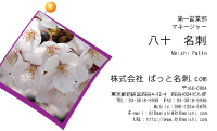 テンプレート名刺【plant- sakura photo-d015-yd】