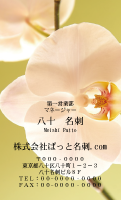 テンプレート名刺【plant-phalaenopsi photo-d007-ly-zy】
