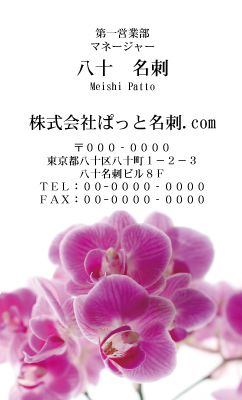 テンプレート名刺【plant-phalaenopsi photo-d008-ly-zy】