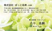 テンプレート名刺【plant-Hydrangea photo-d017-yd】
